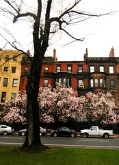 Spring in Boston & Beyond
