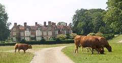 Godinton House and Sculptures