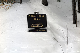 Signal Ridge Trail Sign Winter