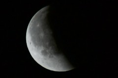 Blood Moon - Lunar Eclipse