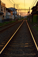 Train & Railroad 