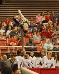 University of Arkansas Razorbacks Host 2014 NCAA Gymnastics Regional