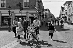 Alkmaar - Street Photography