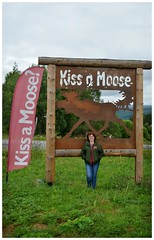 Kiss A Moose