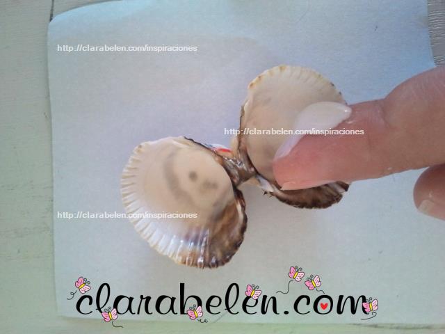 Como hacer mariposas con conchas o almejas