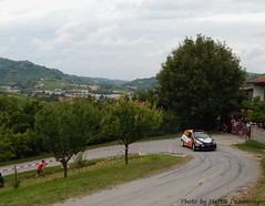 Rally, Stagione 2014