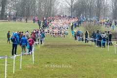 Inter Counties XC March 2017