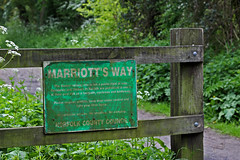 Marriotts Way May 2014