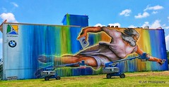 Let’s Preserve Creation - Largest mural in Houston’s history