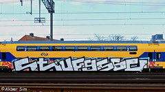 Painted Train