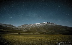 Fioritura al Pian Grande by night (Parco Nazionale dei Monti Sibillini)