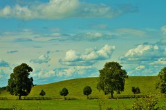 Rural Cheshire