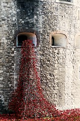 The Tower of London Remembers