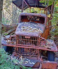 Abandoned Logging Truck - Washington State