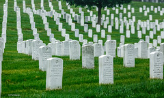 Arlington Cemetery - Washington DC