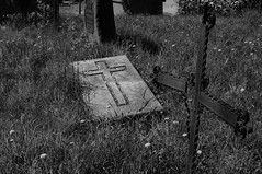 Cemetery in Kozienice, Poland