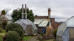 Abandoned greenhouse