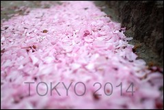 Tokyo 2014