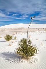White Sands National Monument (3-16-17 - 3-17-17)