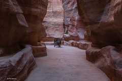 horse & carriage - al siq in Petra, Jordan