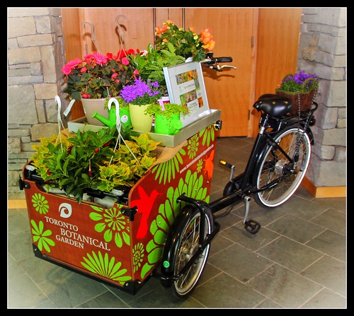 Toronto Botanical Gardens ~ Bike With Flowers