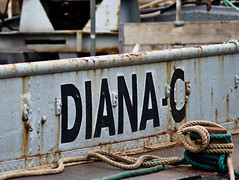Diana C