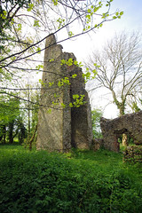 Saxlingham Thorpe church ruins