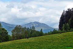 Nationalpark"Bayerischer Wald"