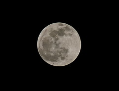 Lunar Eclipse April 2014