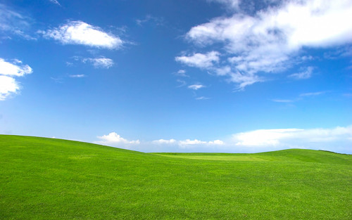 Microsoft used this photo titled “Bliss” for the default wallpaper on its XP operating system. Photo by Charles O’Rear.