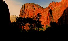 Zion National Park, May 2014