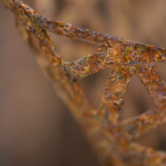 Lace of rust