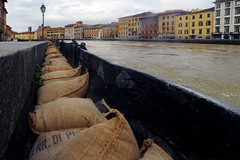 Arno's flood Feb 11, 2014