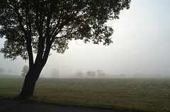 Drumchapel Foggy Morning