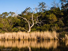 Glenelg River - South Eastern Australia