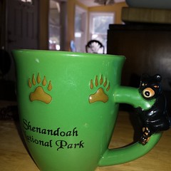 The Bear and I are taking our coffee seriously.