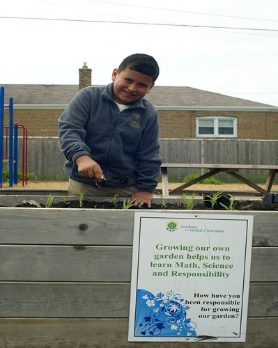 Academy for Global Citizenship student at work in the school garden.