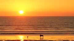 Widemouth bay sunset