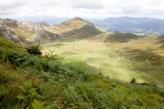 Asturias 2014