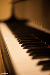 piano_2014_5072