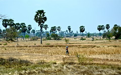 Uzbekistan, Cambogia, Myanmar