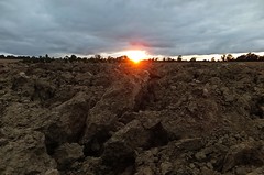 Earth & Dirt & Soil