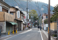 Arashiyama (嵐山)