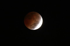 Lunar Eclipse 08-OCT-2014