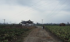 Pyongyang, Ile Turu Som