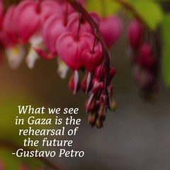What we see in Gaza is the rehearsal of the future  -Gustavo Petro
