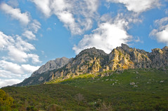 Monte Albo