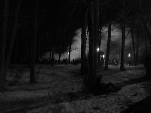 dark woods smoke groundhogday punxsutawney