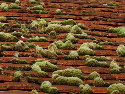 uk roof museum moss harlow essex supershot impressedbeauty ultimateshot