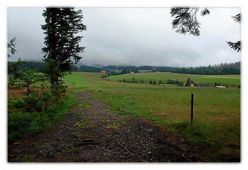 rain fog trekking germany schwarzwald blackforest wandern wanderung westweg crossingtheblackforest